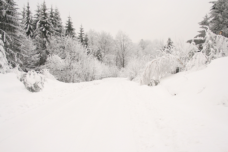 Bieszczady 12.2007 001